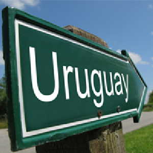 Comenzamos el camino